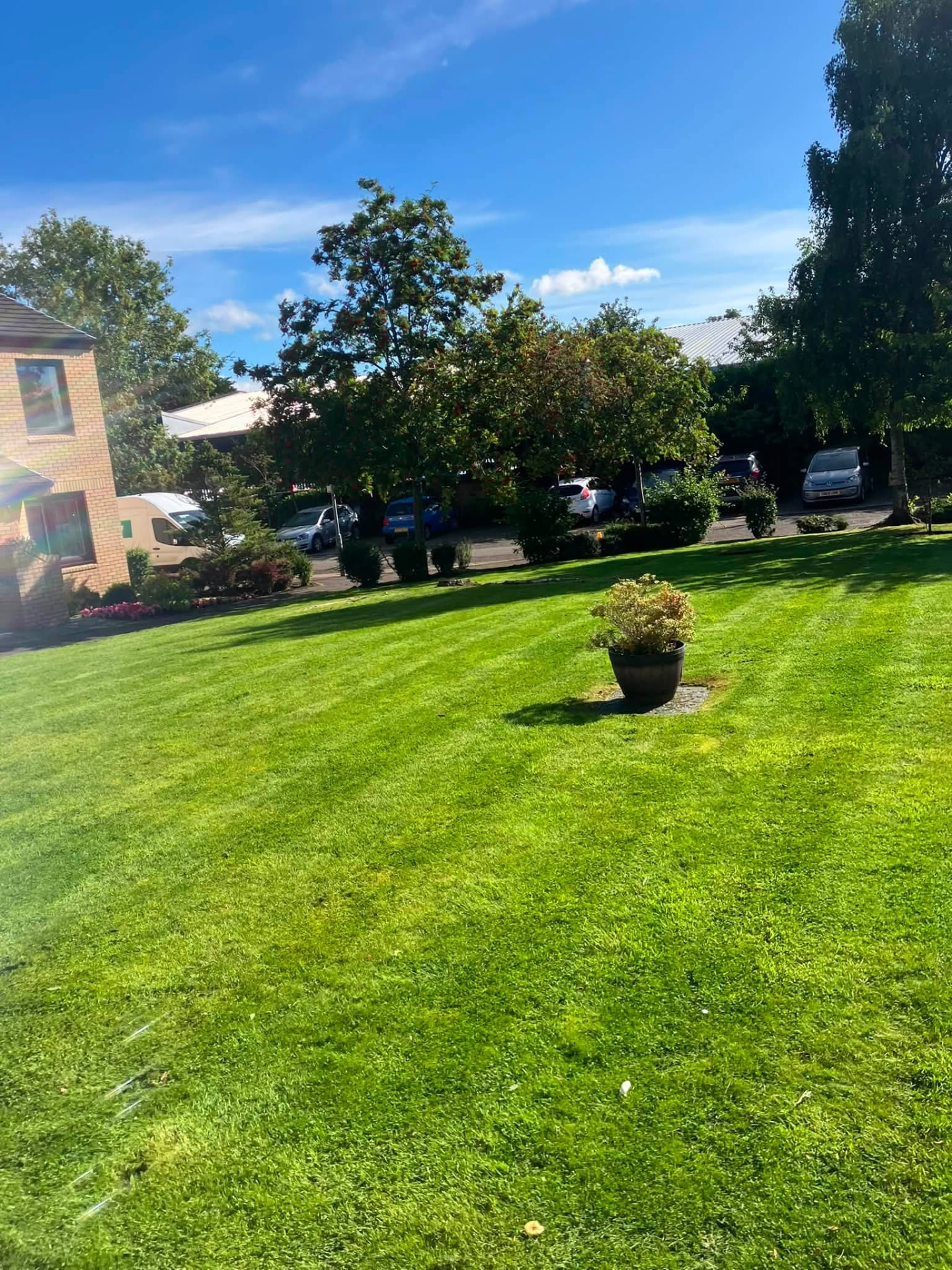 Regular lawn maintenance across Glasgow