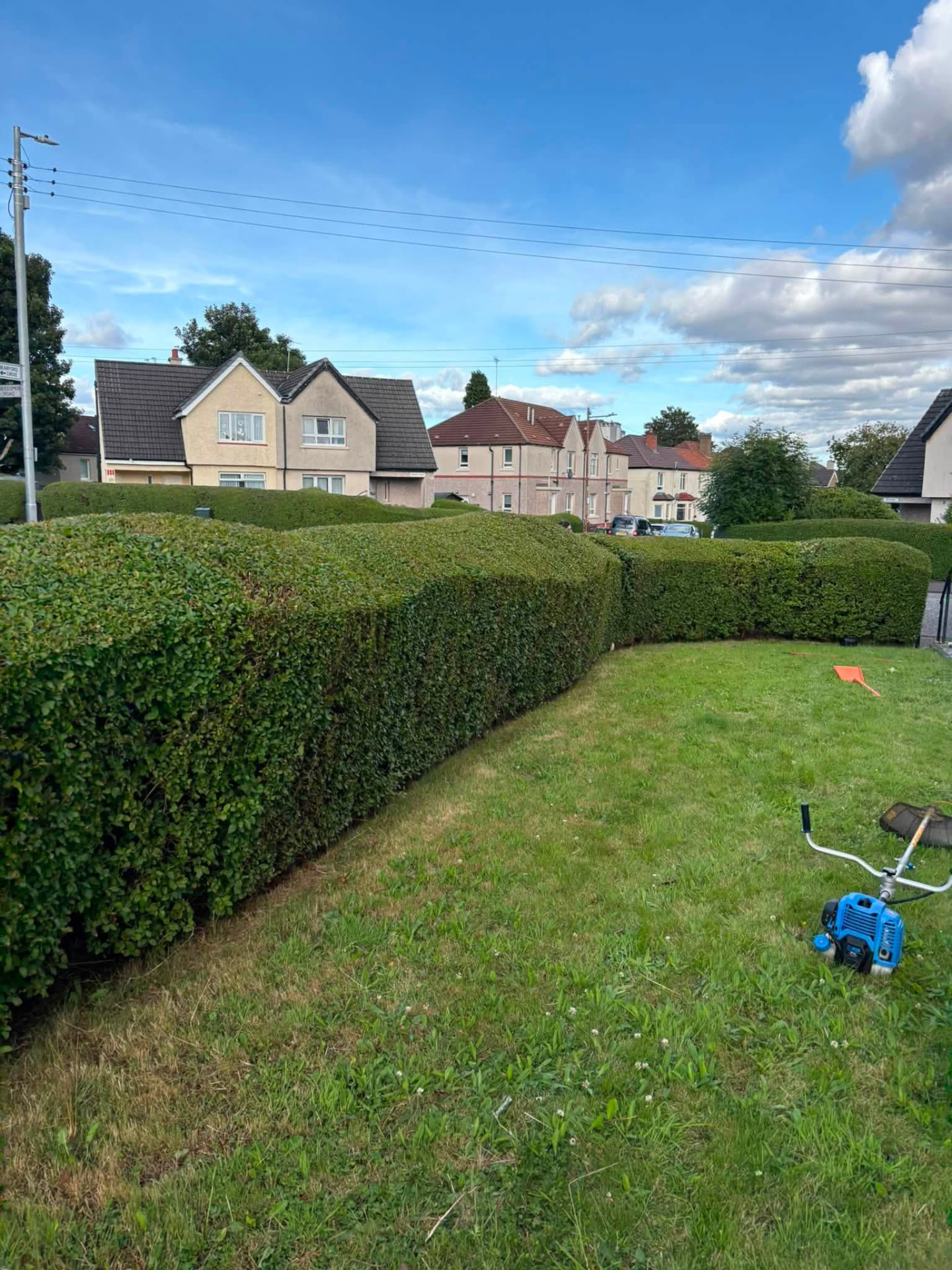 Hedge cutting and shaping by Garden Kings