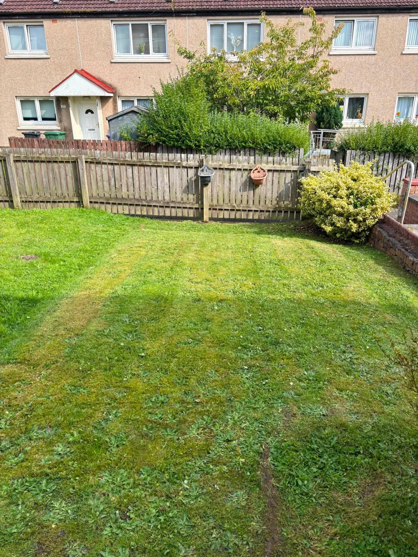 Residential lawn care by Garden Kings