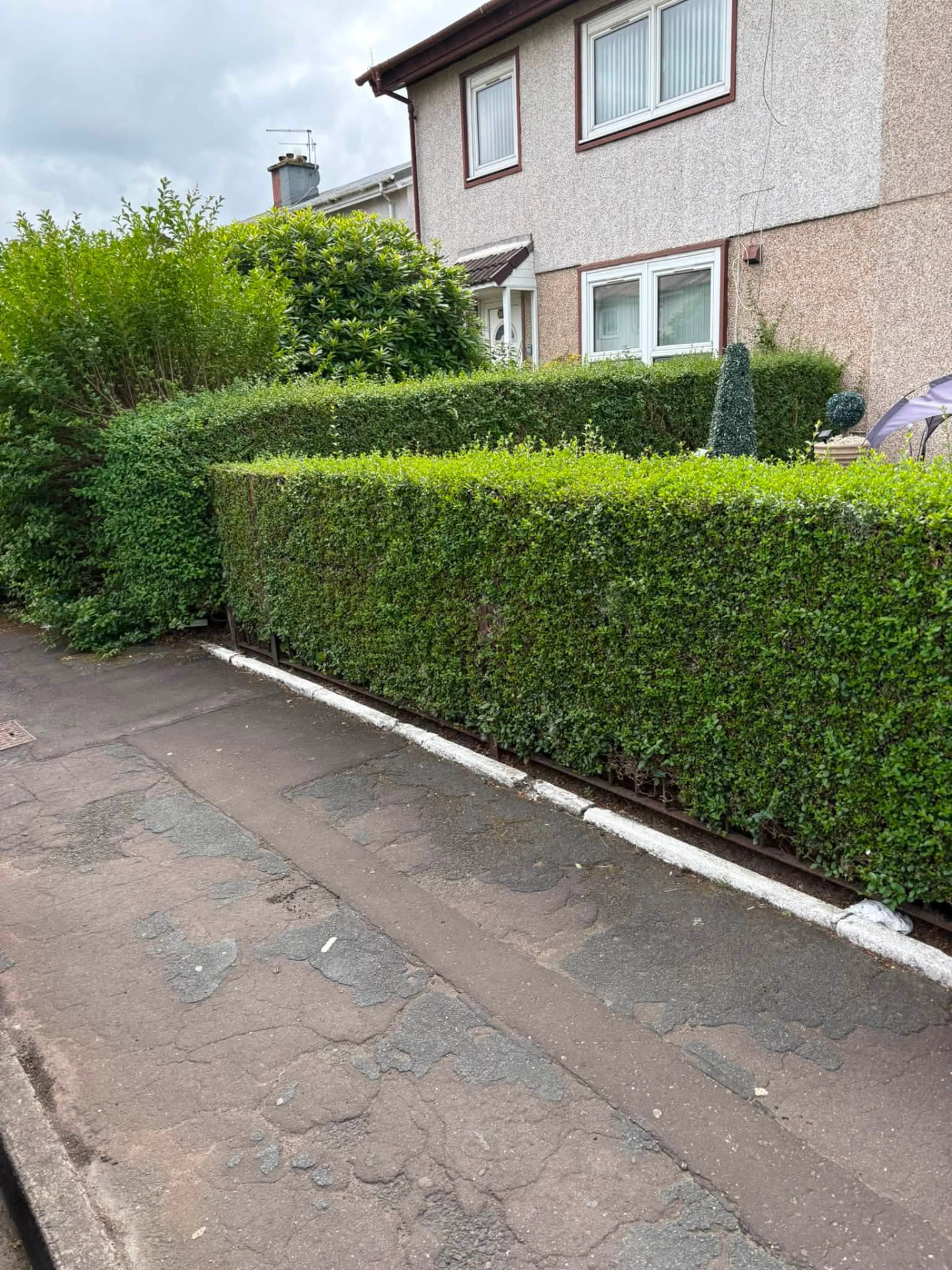 Neatly trimmed garden hedge in Glasgow